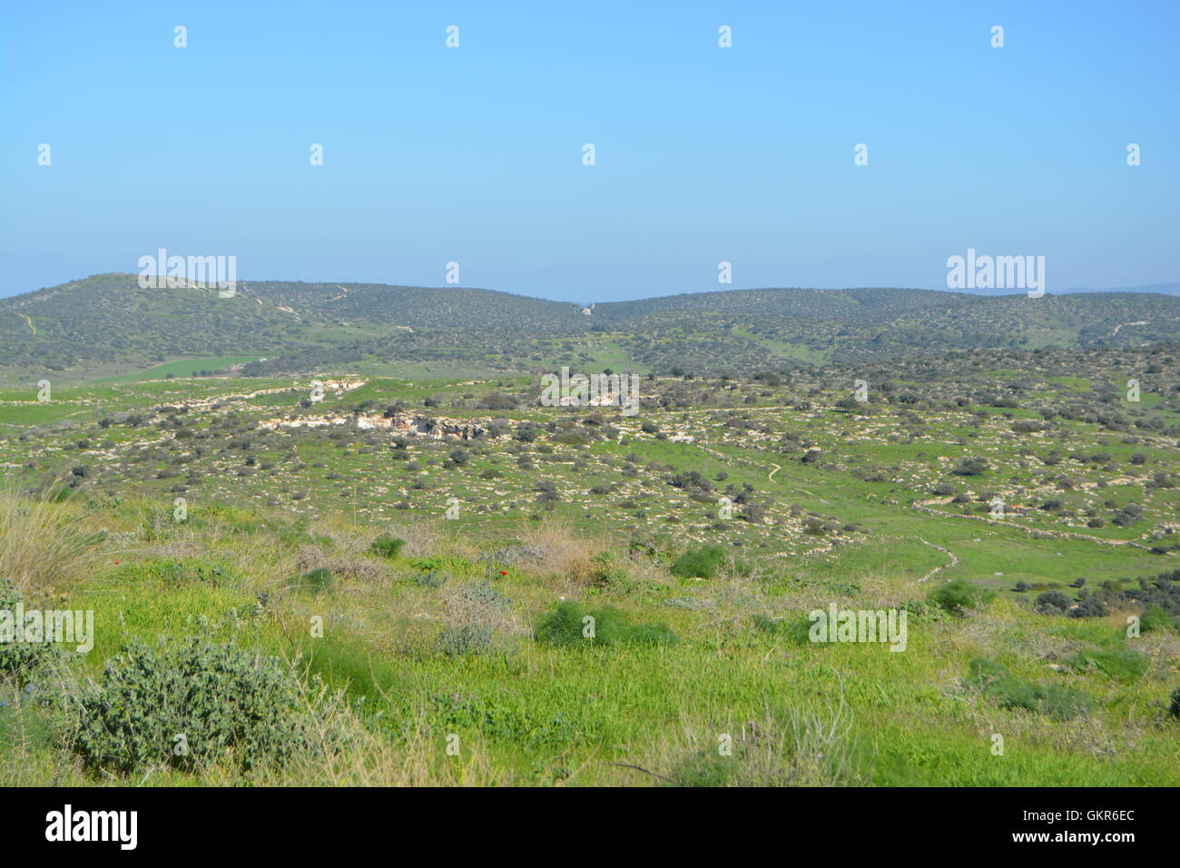 Beit Guvrin-Maresha National Park, Israele Foto Stock