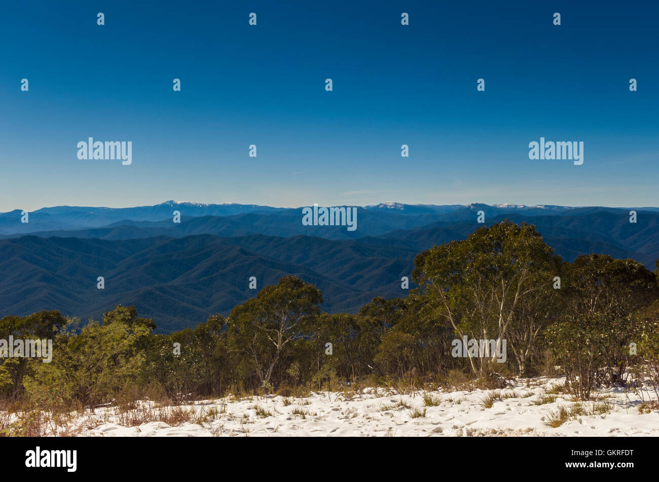 Vista sopra il Victorian High Country, foresta di eucalipti con neve su una luminosa giornata di sole Foto Stock