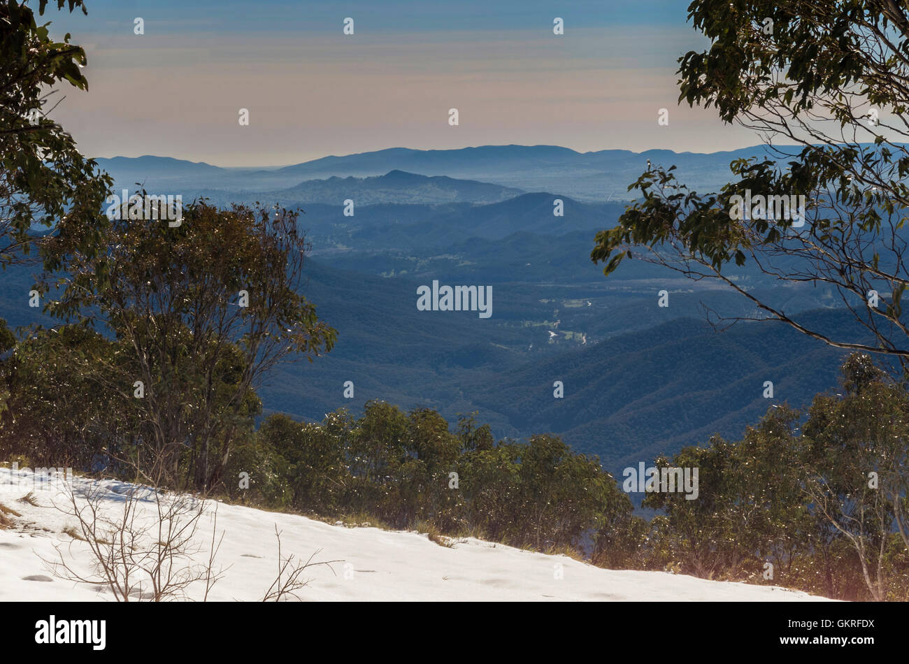 Vista sopra il Victorian High Country, foresta di eucalipti con neve su una luminosa giornata di sole Foto Stock