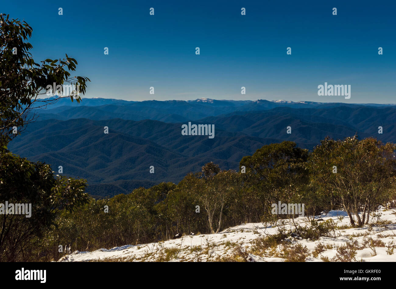 Vista sopra il Victorian High Country, foresta di eucalipti con neve su una luminosa giornata di sole Foto Stock