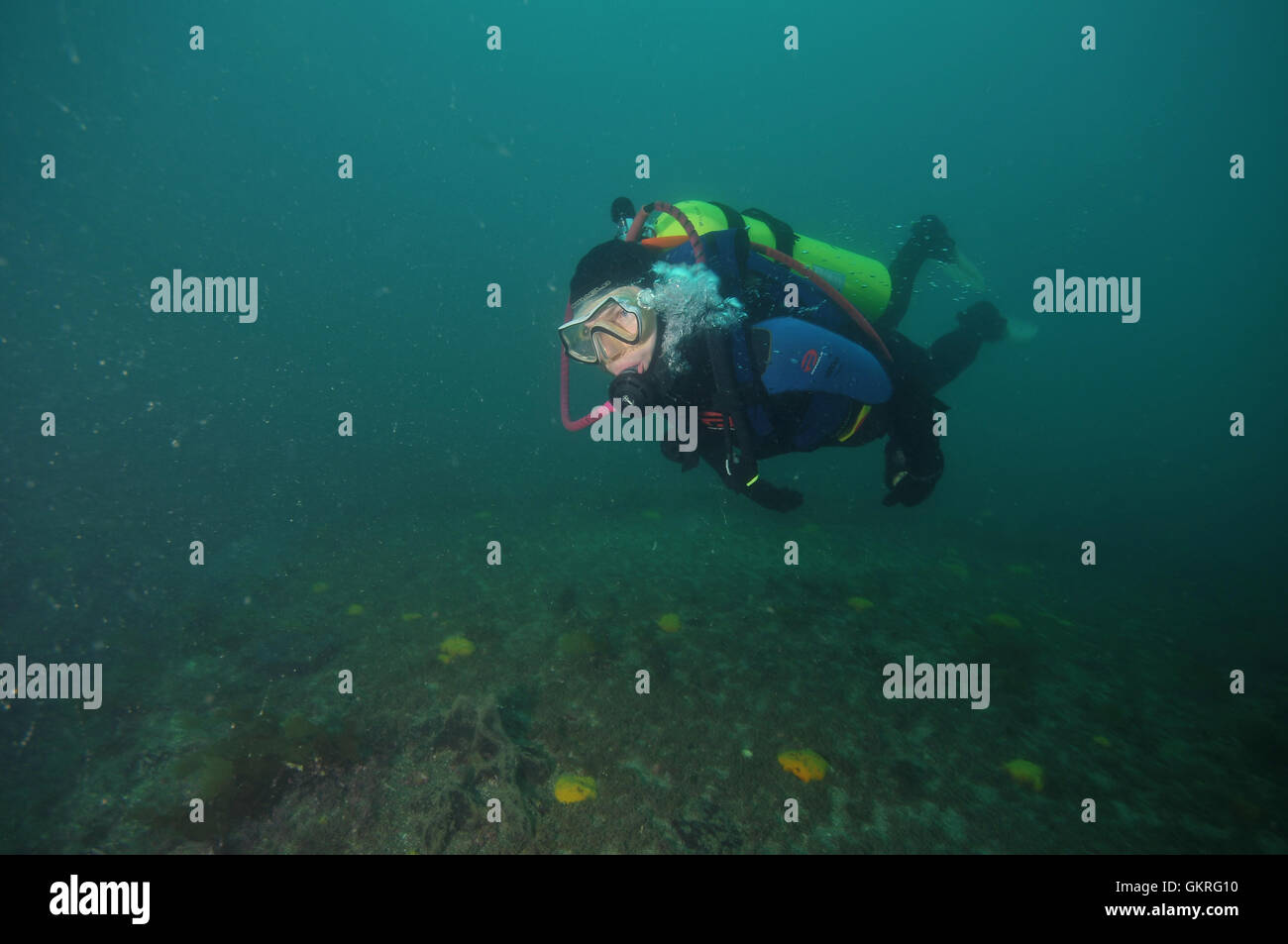 Scuba Diver passando sopra il piano fondale roccioso â€" vista da davanti. Foto Stock