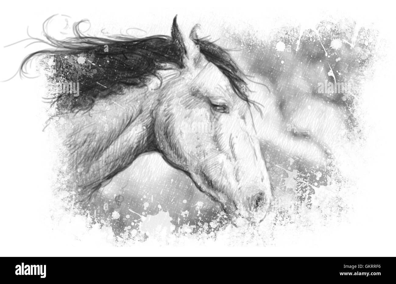 Illustrazione di cavallo, arte del tatuaggio, schizzo Foto Stock