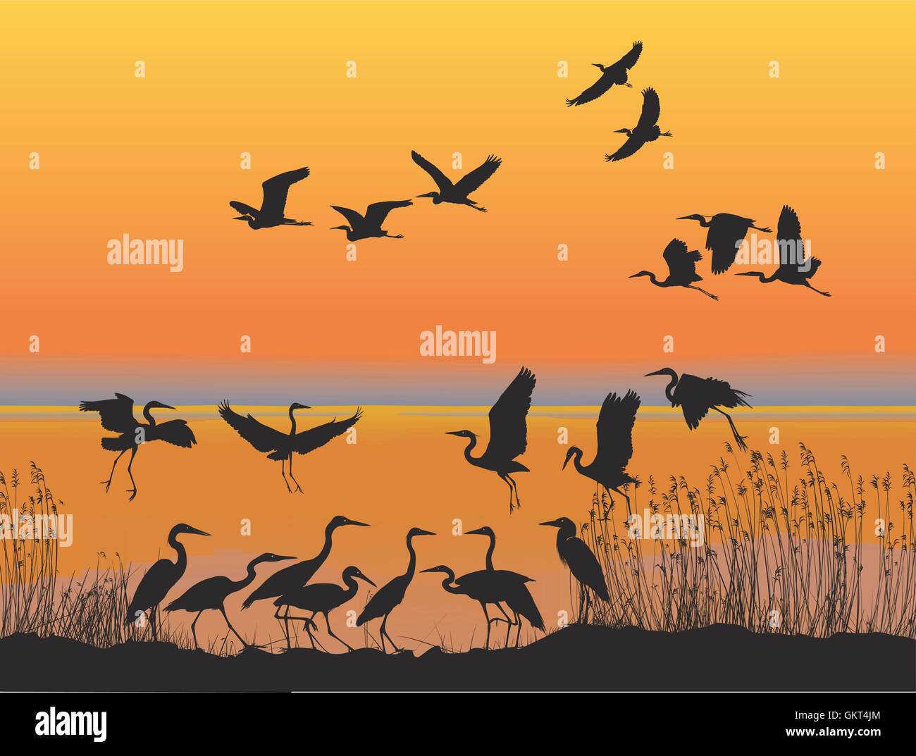 Aironi sulla riva del lago al tramonto Illustrazione Vettoriale