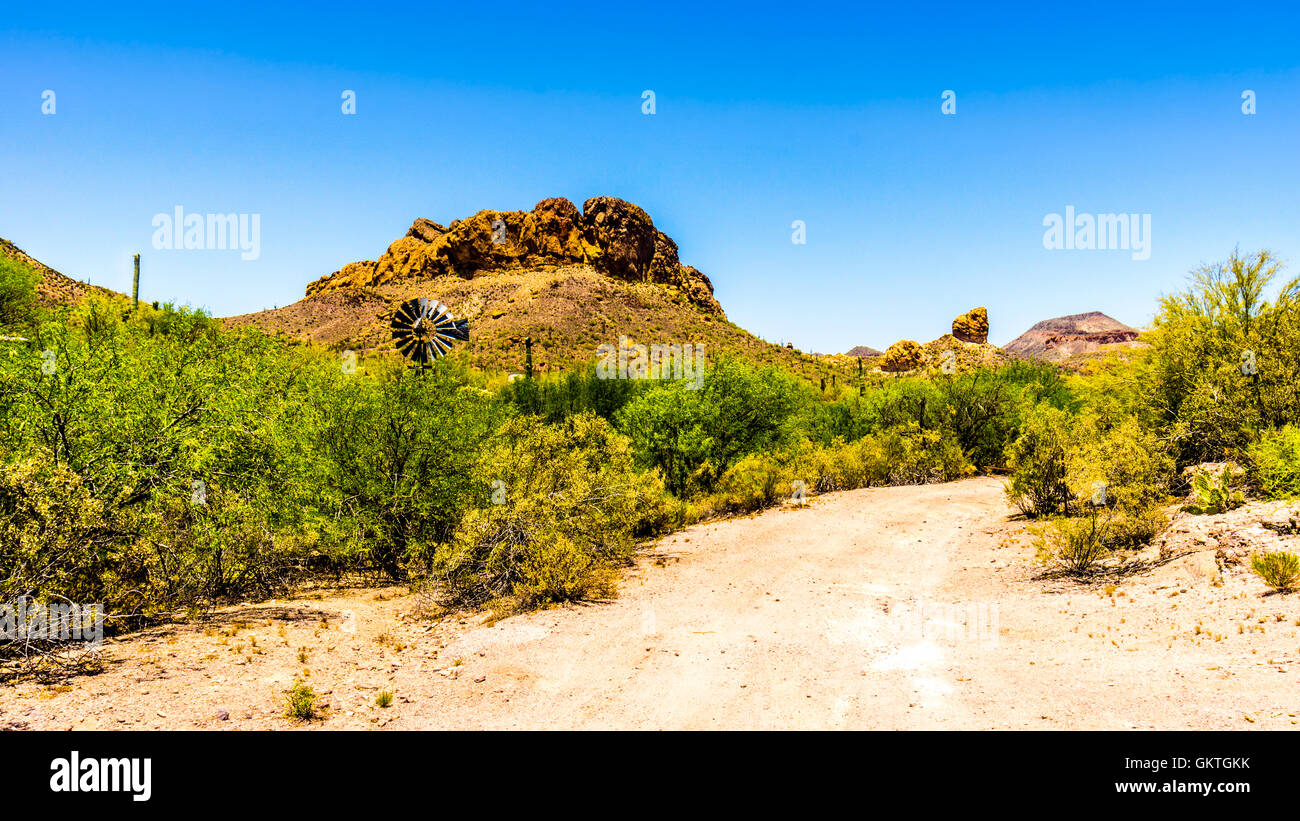 Il paesaggio del deserto di Tonto National Forest lungo il sentiero di Apache in Arizona, Stati Uniti d'America Foto Stock