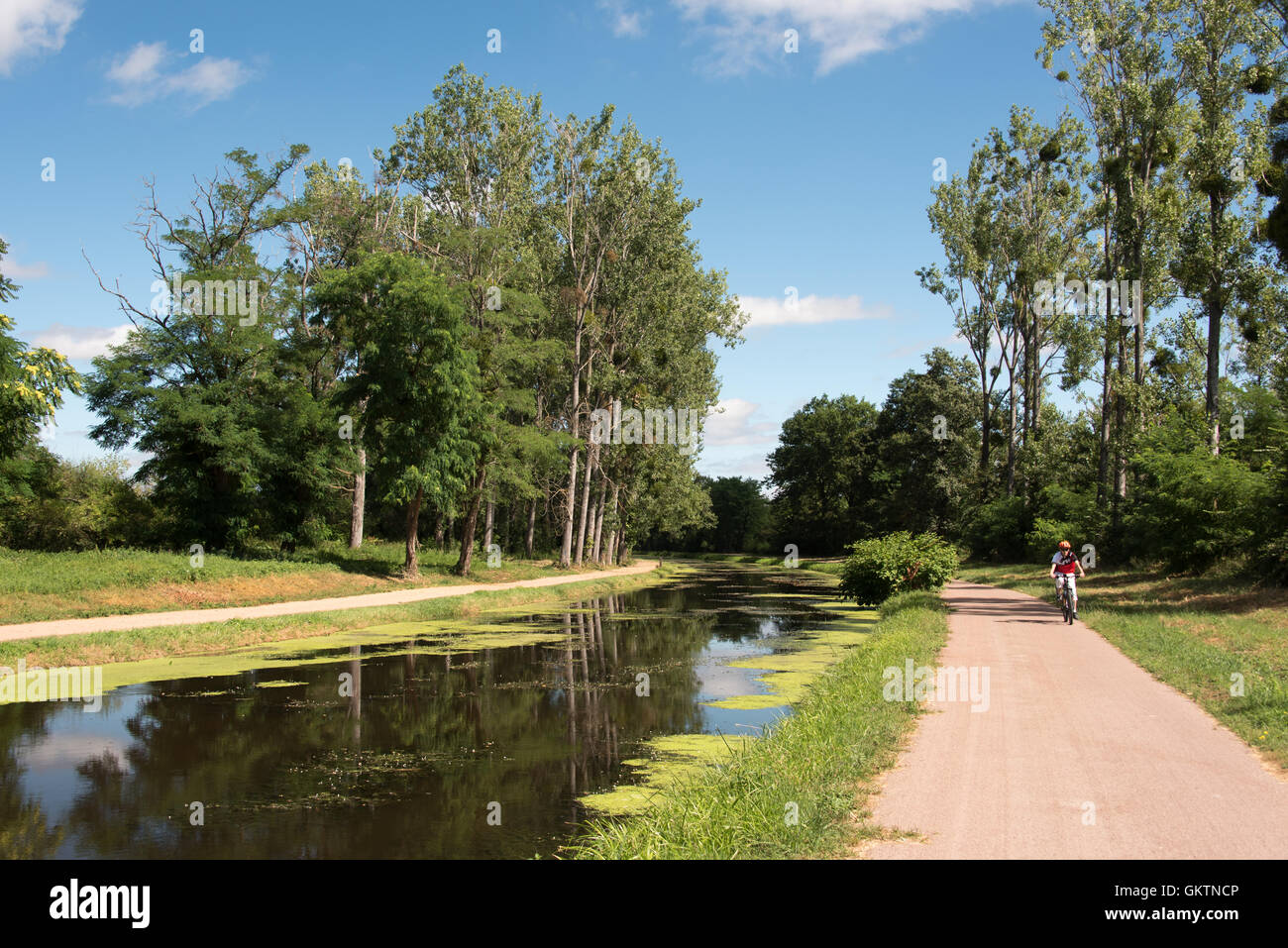 Una sezione del Canal de Berry vicino a Montlucon nella regione di Allier della Auvergne in Francia Foto Stock
