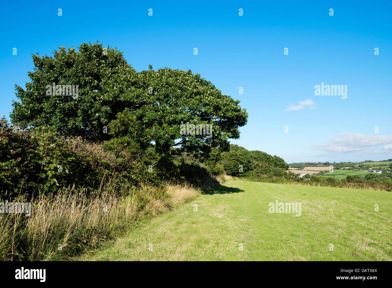 Tipico paesaggio inglese in estate Foto Stock
