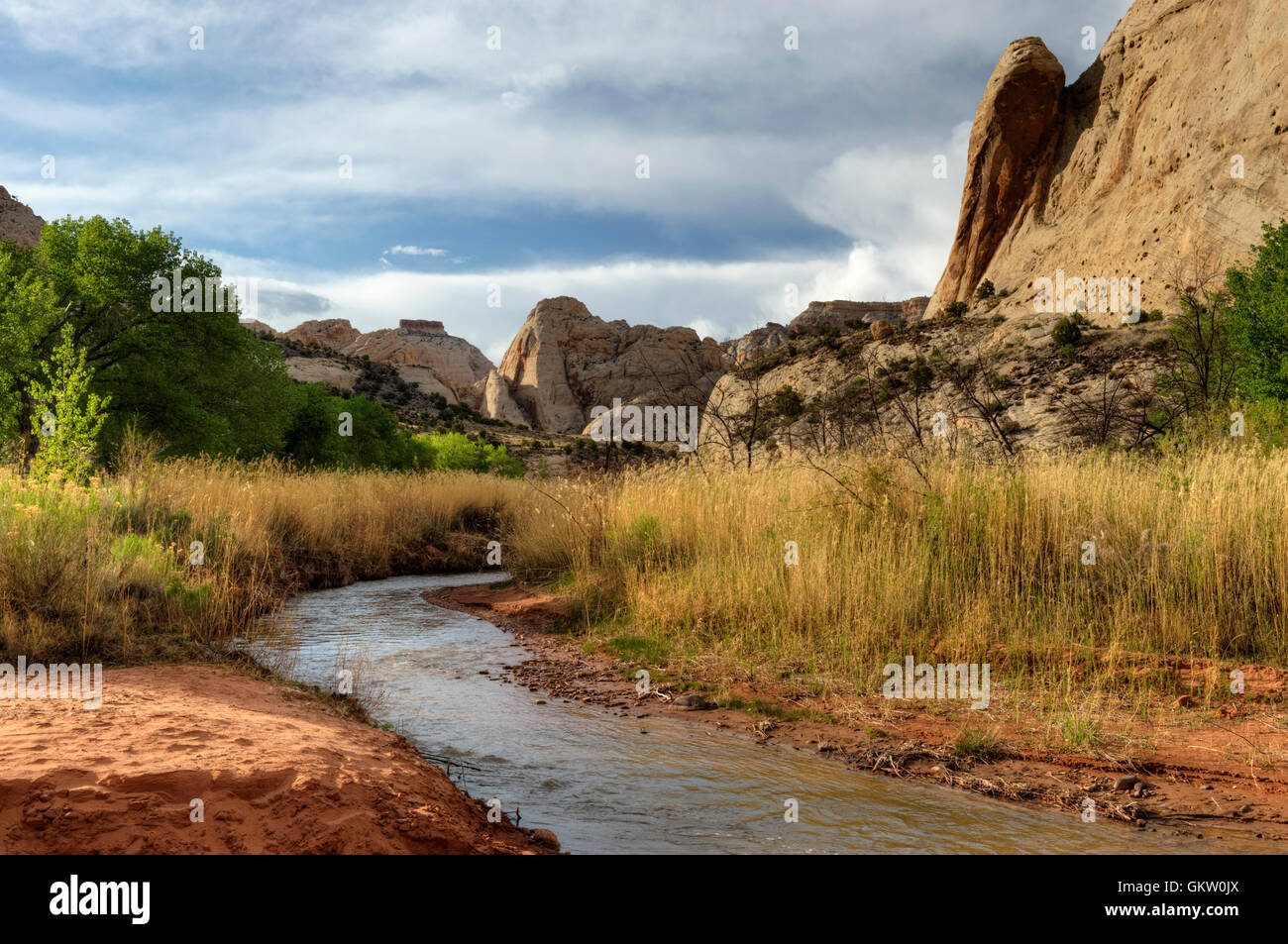 Il Fremont fiume scorre attraverso il parco nazionale di Capitol Reef al suo incrocio con la Grand Washington. Foto Stock