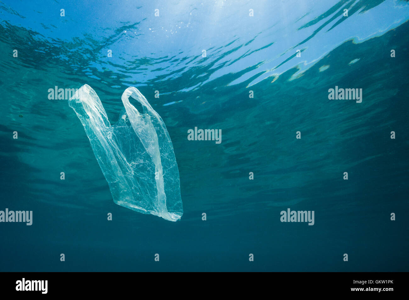 Sacchetto di plastica alla deriva in oceano, AMBON, ISOLE MOLUCCHE, INDONESIA Foto Stock