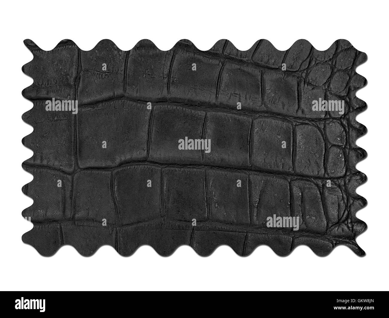 Nascondi in pelle Foto Stock