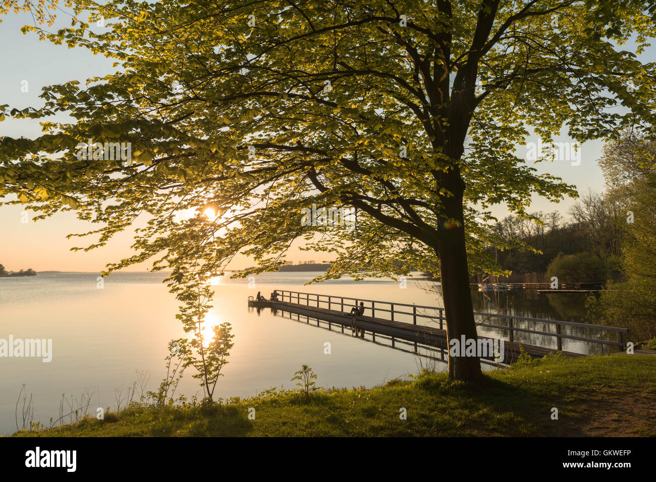 Il lago di Selent Schleswig-Holstein, Germania Foto Stock