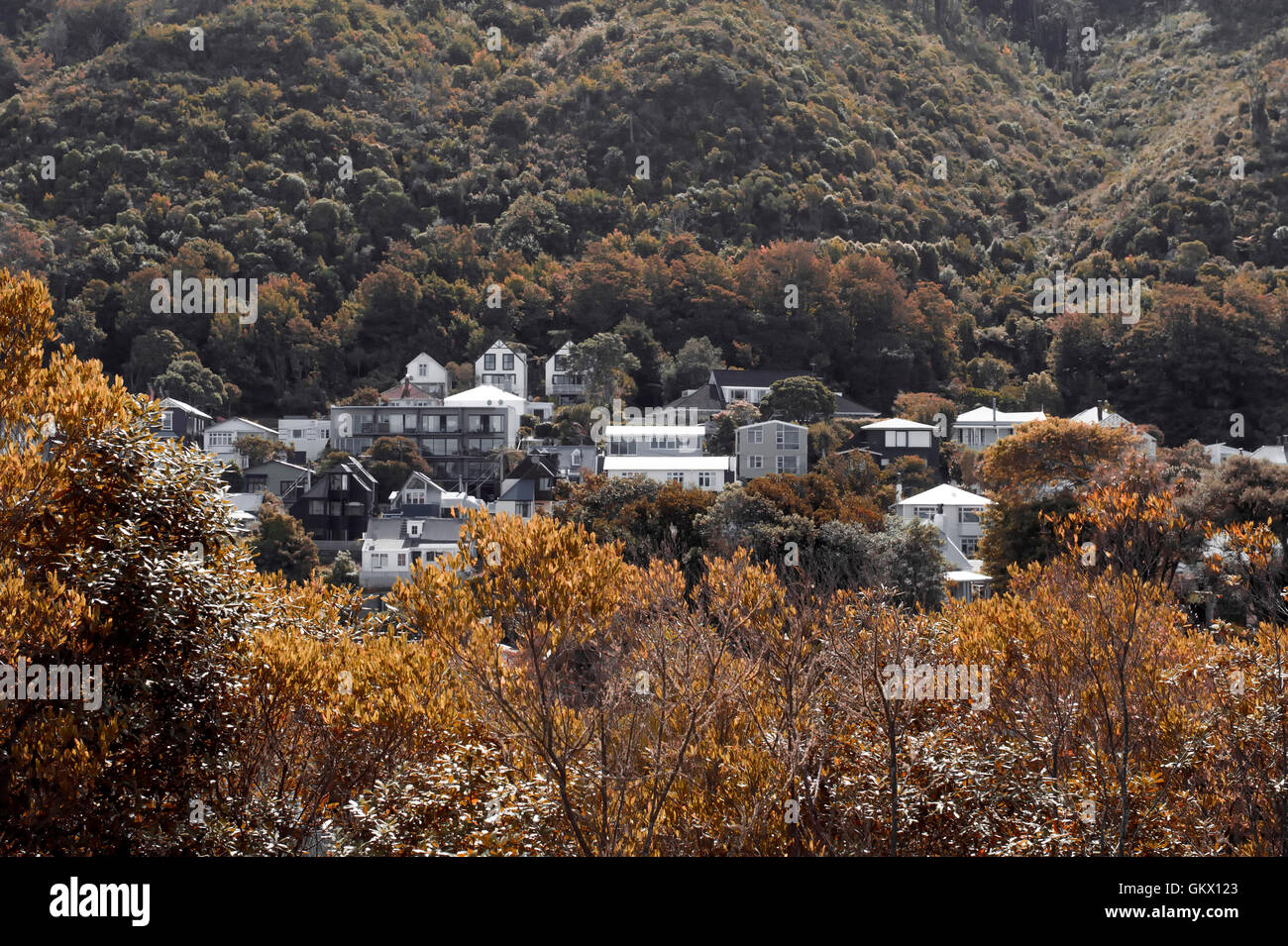 Wellington collinare dell'élite di area residenziale a Thorndon, lo storico sobborgo interna di Wellington, capitale della Nuova Zelanda. Foto Stock