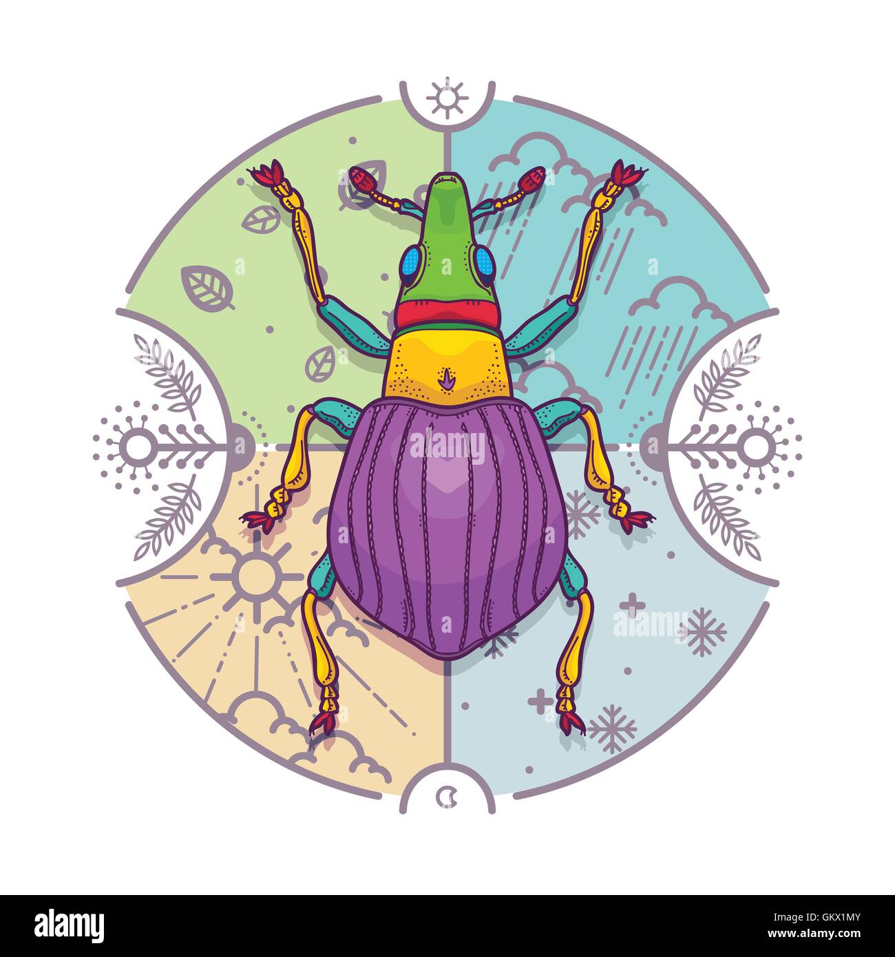 Illustrazione Vettoriale di insetti Beetle gli elementi di design con la linea grafica. Cerchio vita di giorno e di notte le Quattro Stagioni concetto Natura Illustrazione Vettoriale