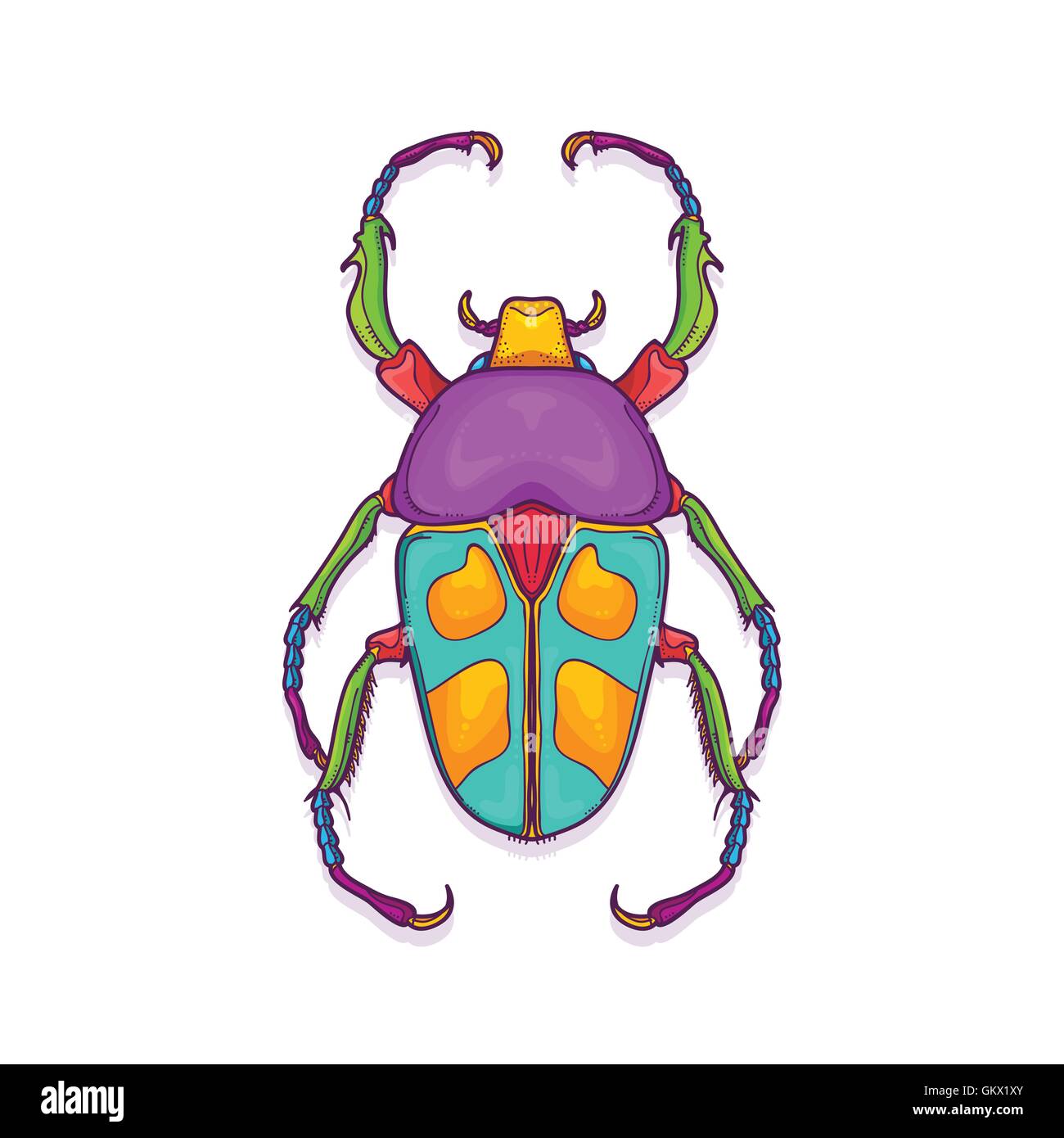 Illustrazione Vettoriale di coloratissimi Beetle Bug insetto disegnati a mano, Jumnos ruckeri Illustrazione Vettoriale