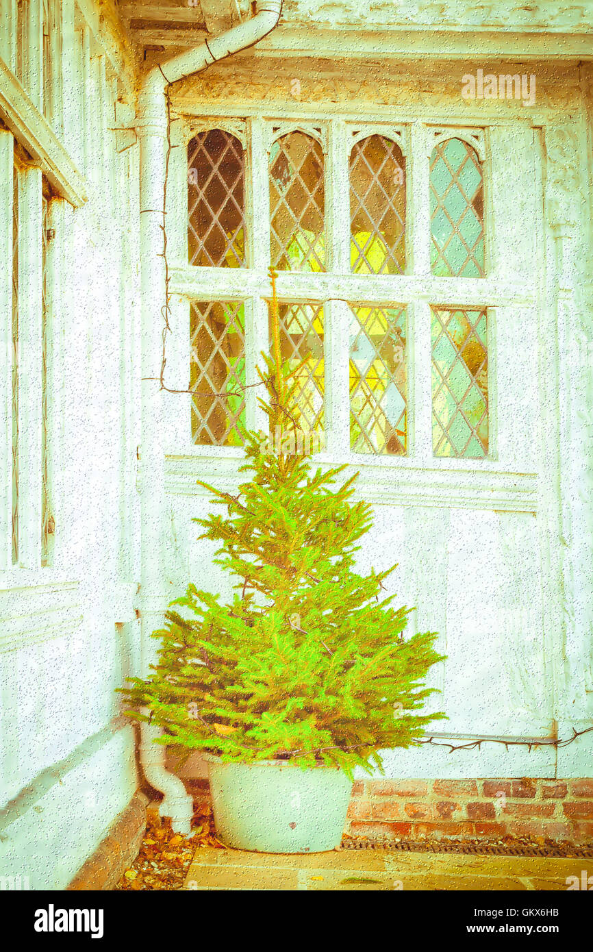 Albero di Natale Foto Stock