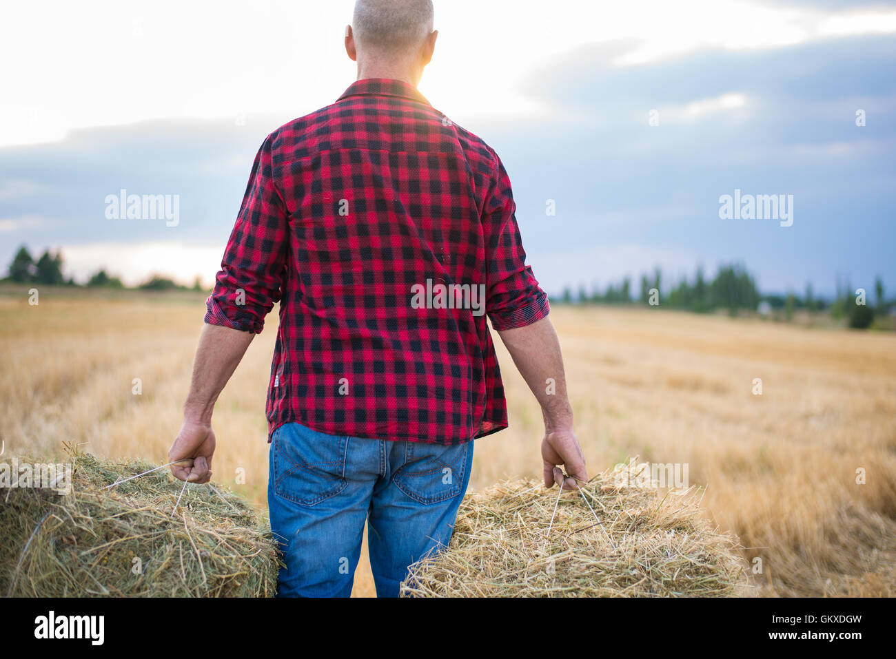 Lavoro uomo agricoltore con le balle di paglia Foto Stock