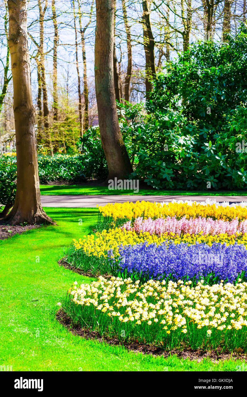 Splendidi giardini nel parco Keukenhof, Olanda Foto Stock