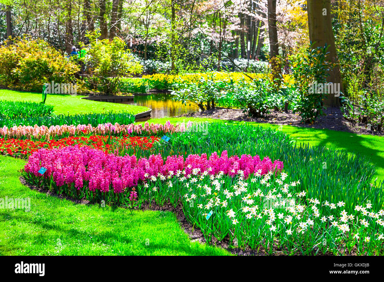 Bellissimo giardino nel parco Keukenhof, Olanda Foto Stock