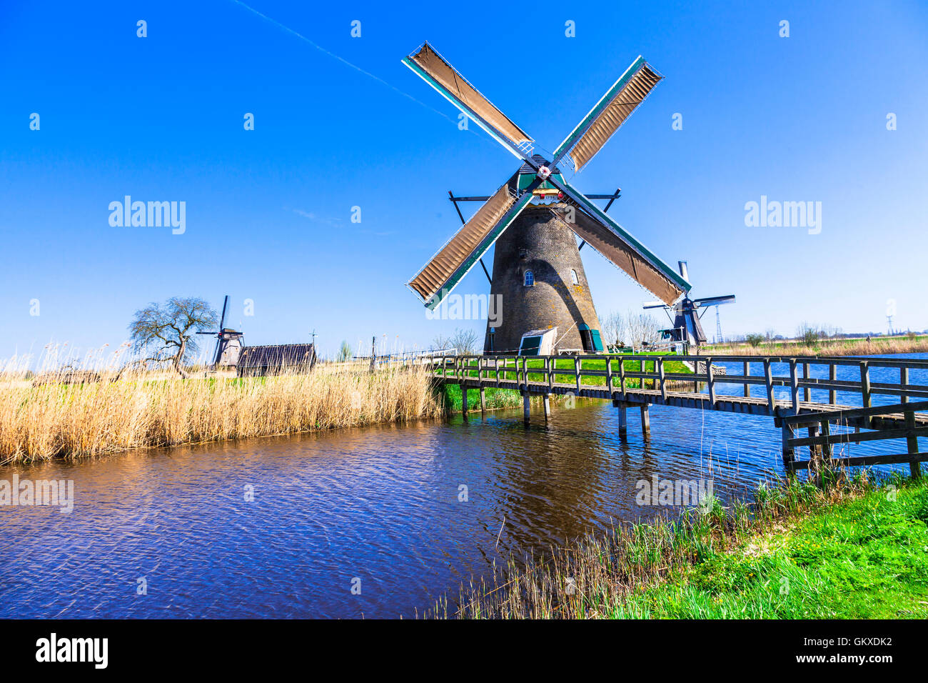 Traditioanl Holland campagna - mulini a vento di Kinderdjik Foto Stock