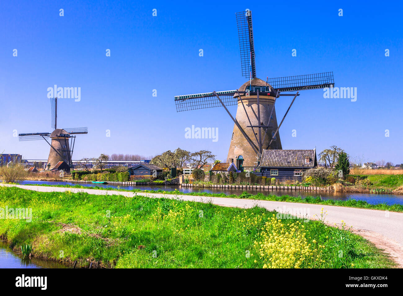 Holland tradizionale campagna - mulini a vento Foto Stock