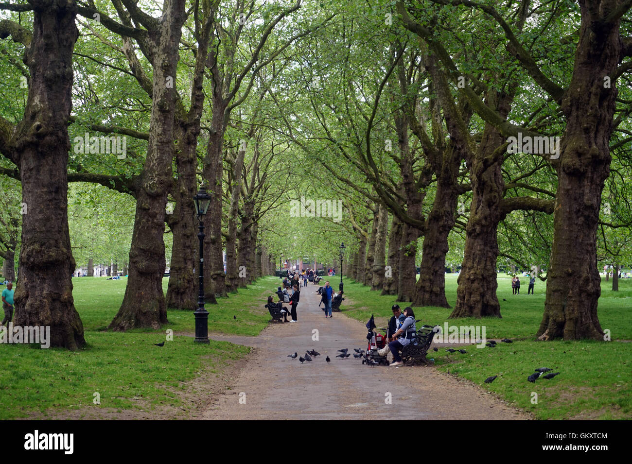 La gente seduta sulle panchine alimentare piccioni in Green Park, Londra Foto Stock