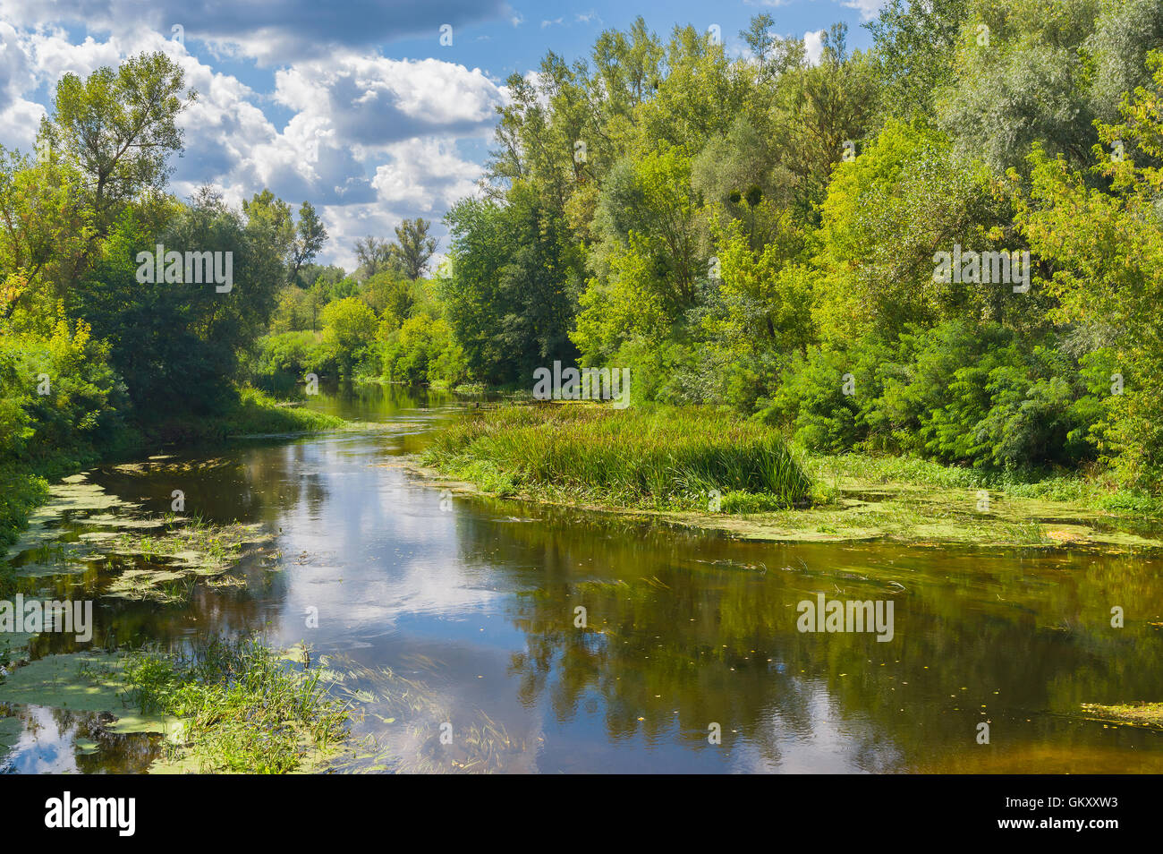 Caduta è presto paesaggio - fine dell'estate in un piccolo fiume ucraino Foto Stock