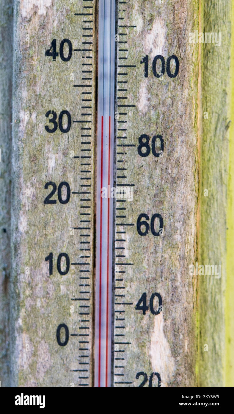 Brighton, Regno Unito. 24 Ago, 2016. Un termometro indica 32 gradi centigradi in ombra in un giardino di Brighton questa mattina . Le temperature sono previsioni meteo per andare ben al di sopra di trenta in tutta la Gran Bretagna meridionale come la canicola meteo continua Credito: Simon Dack/Alamy Live News Foto Stock