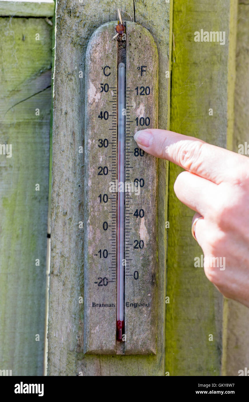 Brighton, Regno Unito. 24 Ago, 2016. Un termometro indica 32 gradi centigradi in ombra in un giardino di Brighton questa mattina . Le temperature sono previsioni meteo per andare ben al di sopra di trenta in tutta la Gran Bretagna meridionale come la canicola meteo continua Credito: Simon Dack/Alamy Live News Foto Stock