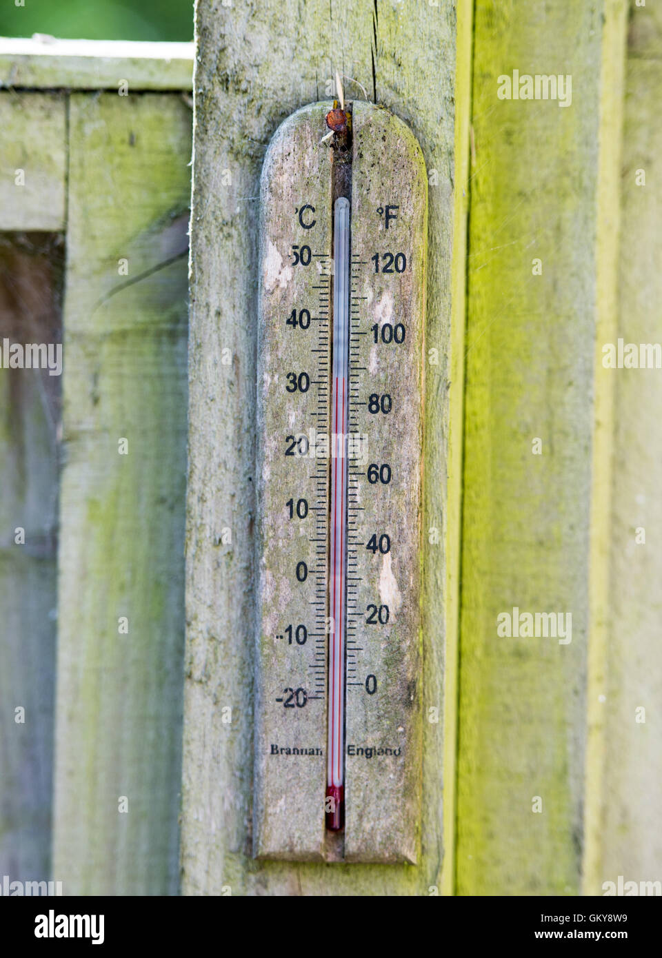 Brighton, Regno Unito. 24 Ago, 2016. Un termometro indica 32 gradi centigradi in ombra in un giardino di Brighton questa mattina . Le temperature sono previsioni meteo per andare ben al di sopra di trenta in tutta la Gran Bretagna meridionale come la canicola meteo continua Credito: Simon Dack/Alamy Live News Foto Stock