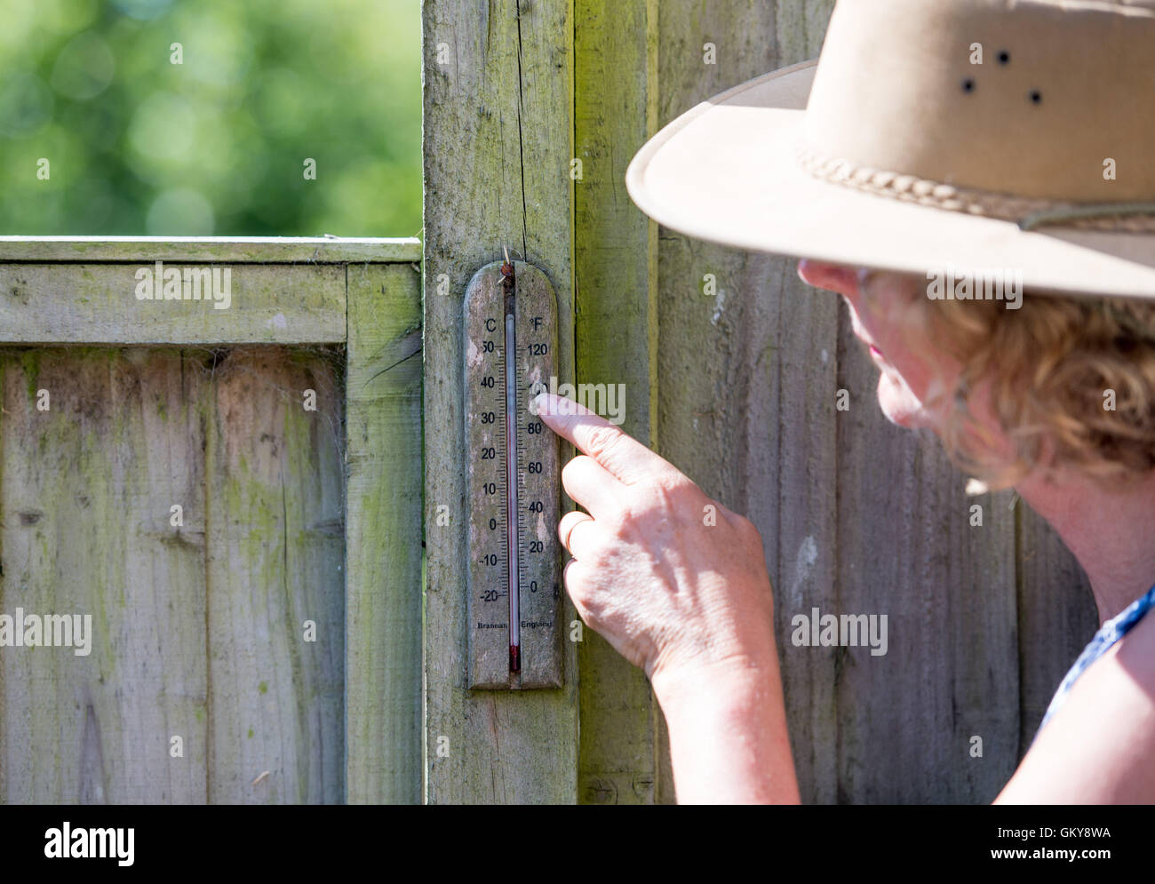 Brighton, Regno Unito. 24 Ago, 2016. Un termometro indica 32 gradi centigradi in ombra in un giardino di Brighton questa mattina . Le temperature sono previsioni meteo per andare ben al di sopra di trenta in tutta la Gran Bretagna meridionale come la canicola meteo continua Credito: Simon Dack/Alamy Live News Foto Stock