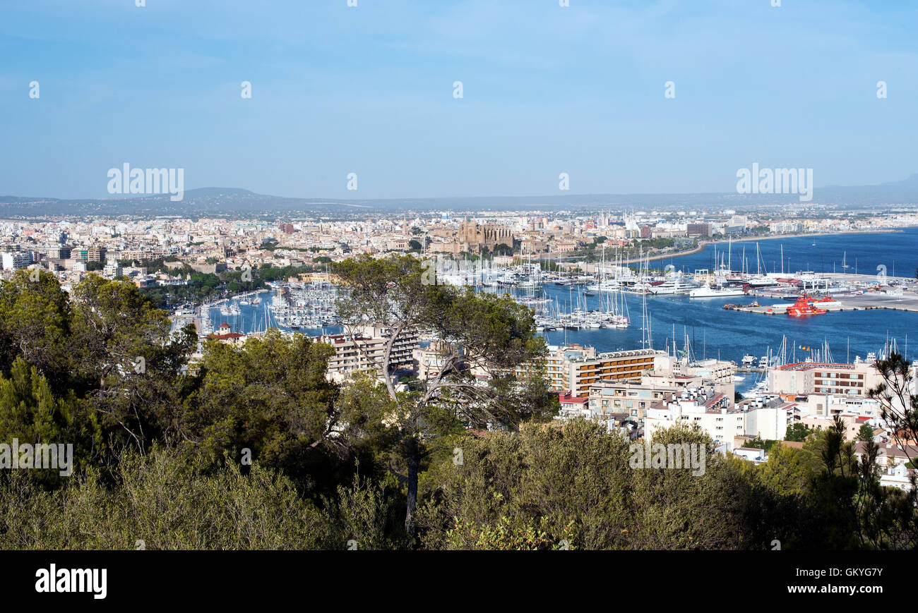 Vista panoramica su Palma de Maiorca, isole Baleari che mostra la topografia della città e marina in un concetto di viaggio Foto Stock