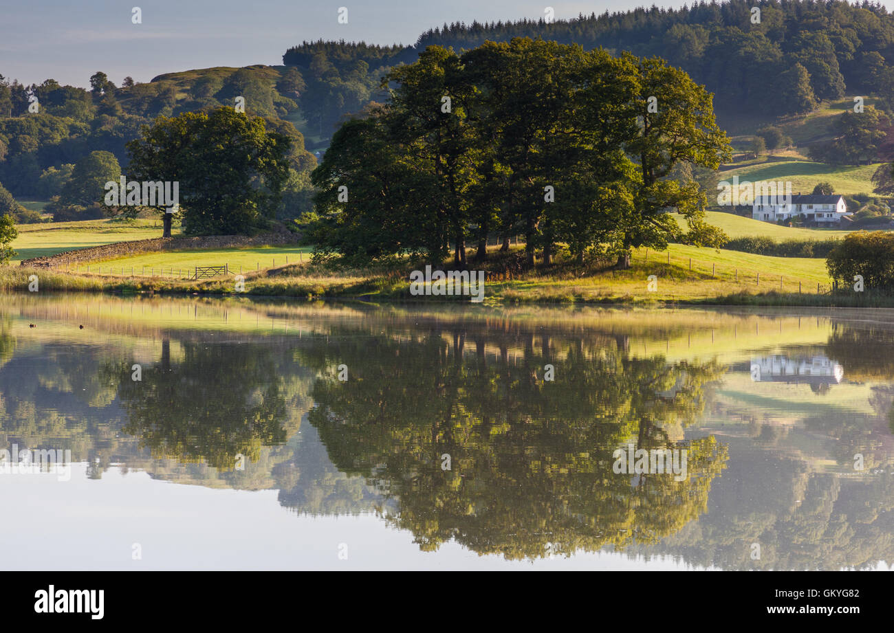 Riflessioni sulla Esthwaite acqua, vicino Near Sawrey, Lake District, Cumbria Foto Stock