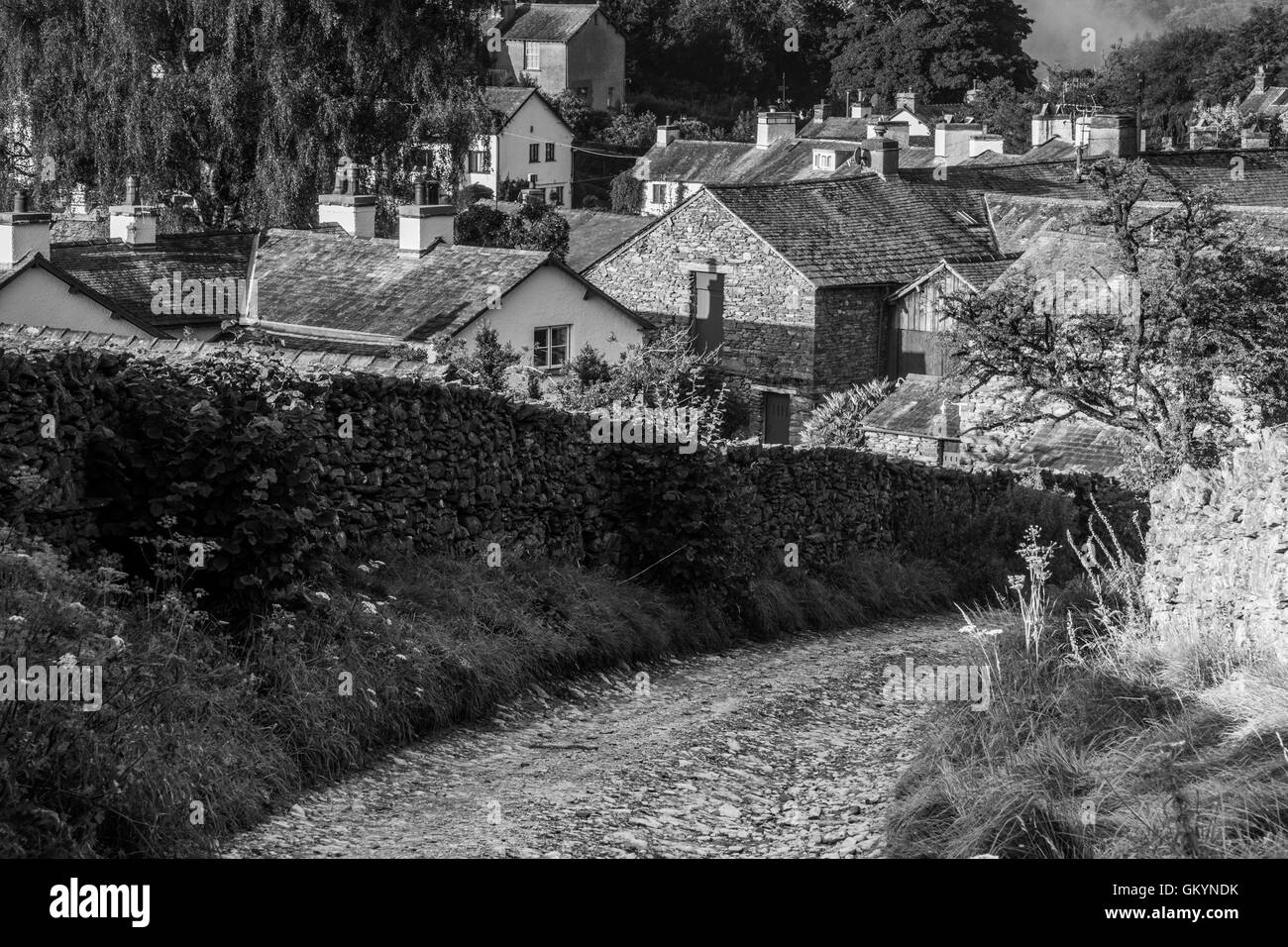Pietre bridleway corsia che conduce verso il basso nel Near Sawrey, vicino Hawkshead, Lake District, Cumbria Foto Stock