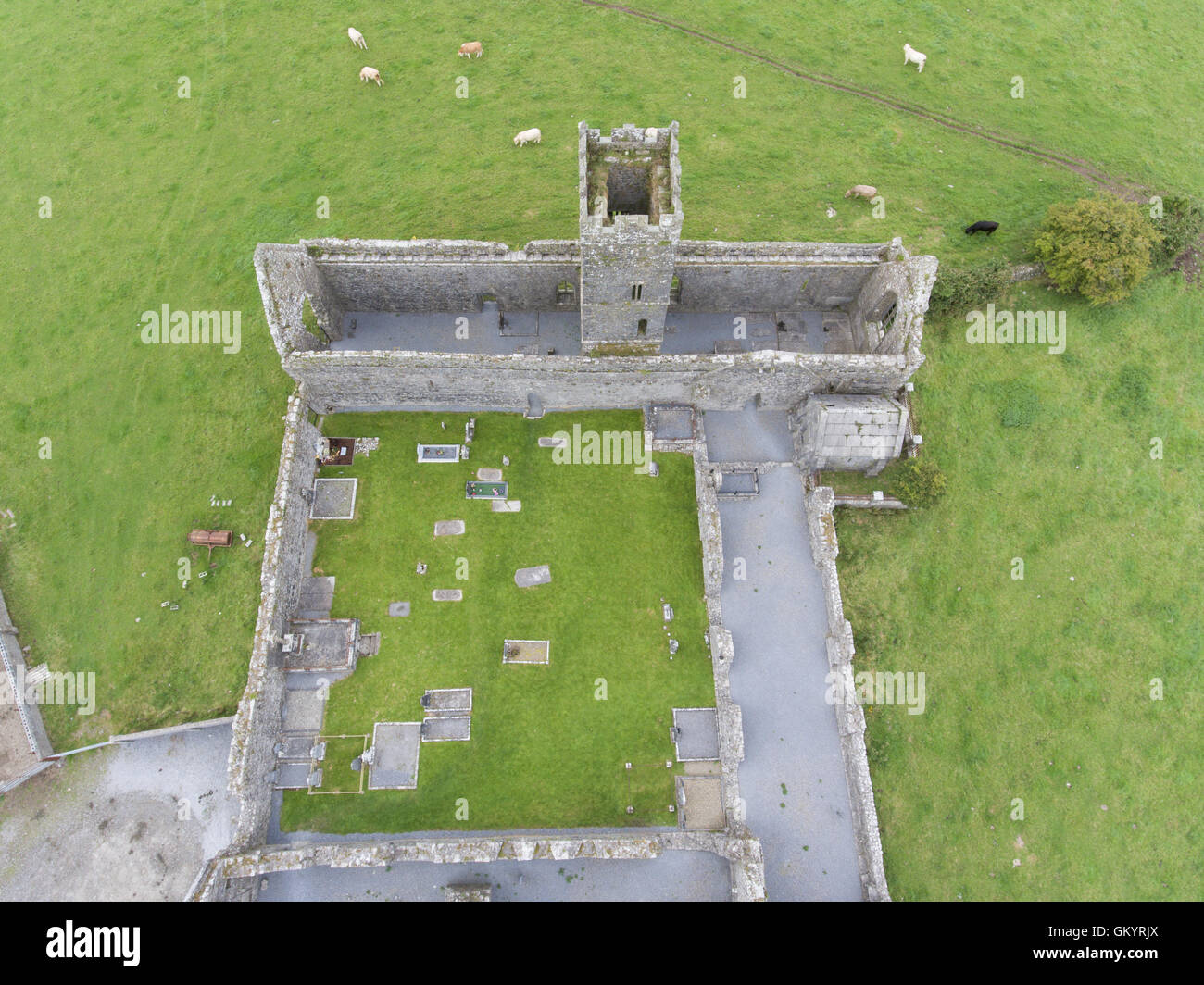 Clare le rovine dell'abbazia, County Clare, Irlanda Foto Stock