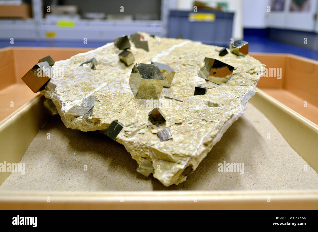 Grandi cubi di pirite su una pietra arenaria Foto Stock