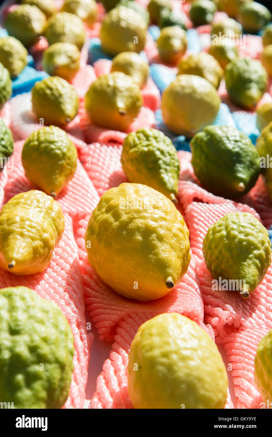 Etrog al mercato per la festa ebraica Sukkot Foto Stock