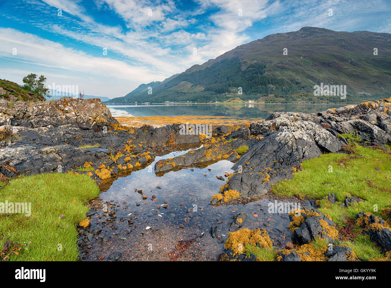 Sulle sponde del Loch Duich con verde brillante samphire erbosa e rocce spiovente Foto Stock