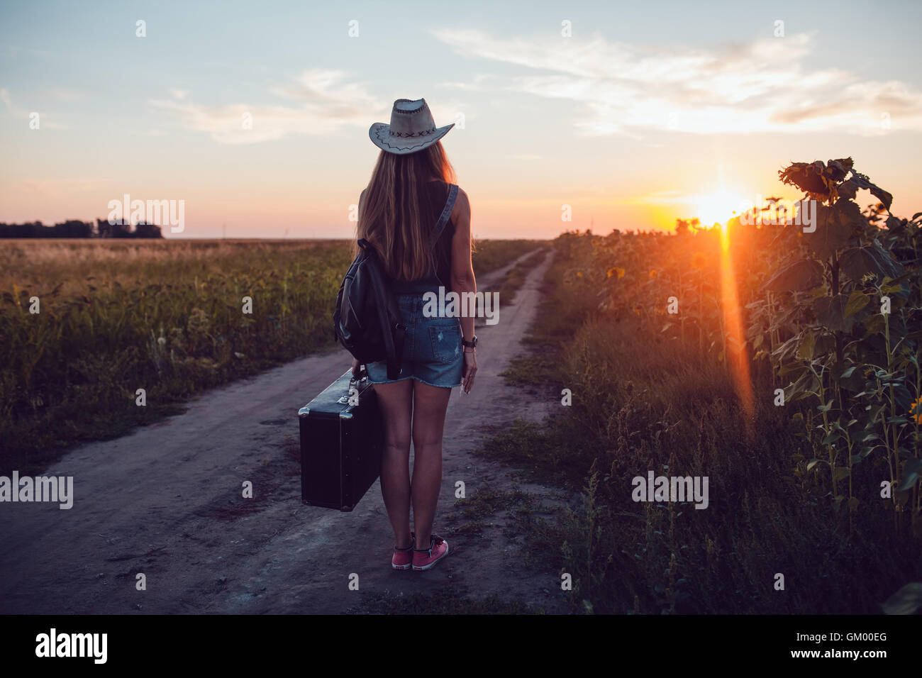 Ragazza in un cappello da cowboy in piedi con la valigia sulla strada nel campo di semi di girasole. In attesa di aiuto. Il tramonto. Foto Stock