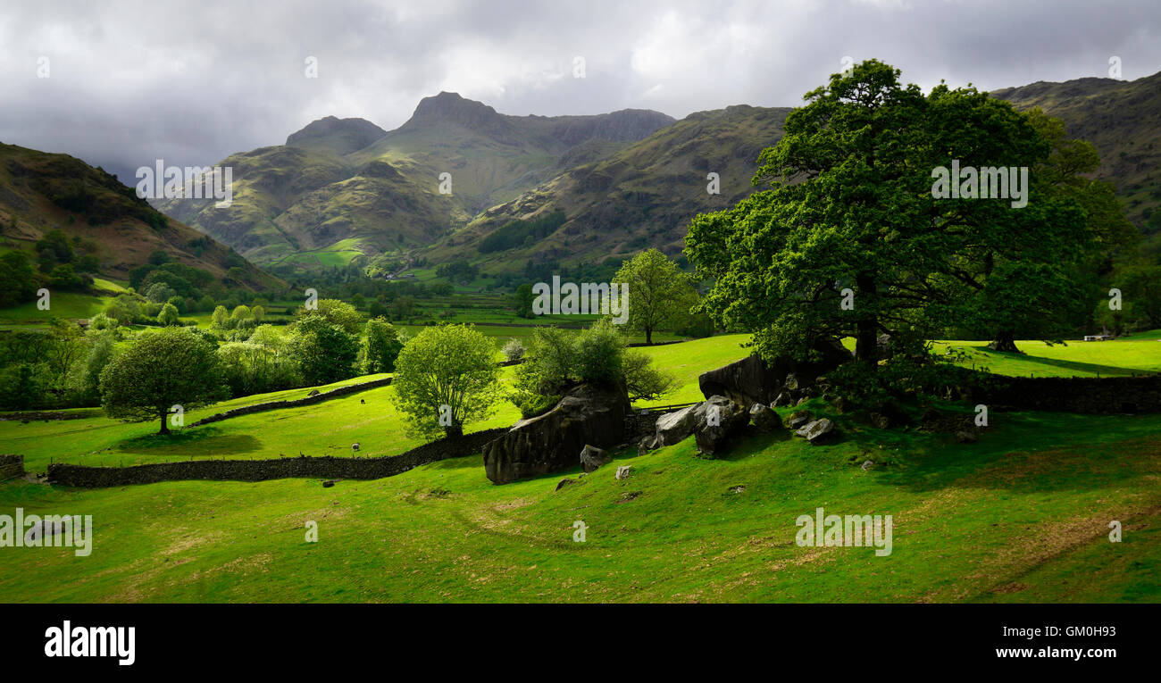 Pioggia nuvole over the Langdale Pikes Foto Stock