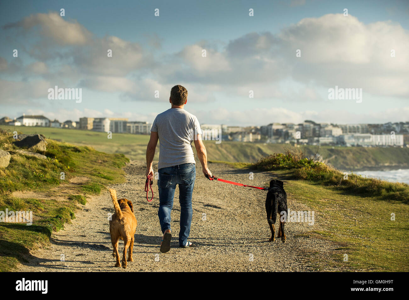 Un dog walker e i suoi due cani a piedi lungo il promontorio a Newquay, Cornwall. Foto Stock