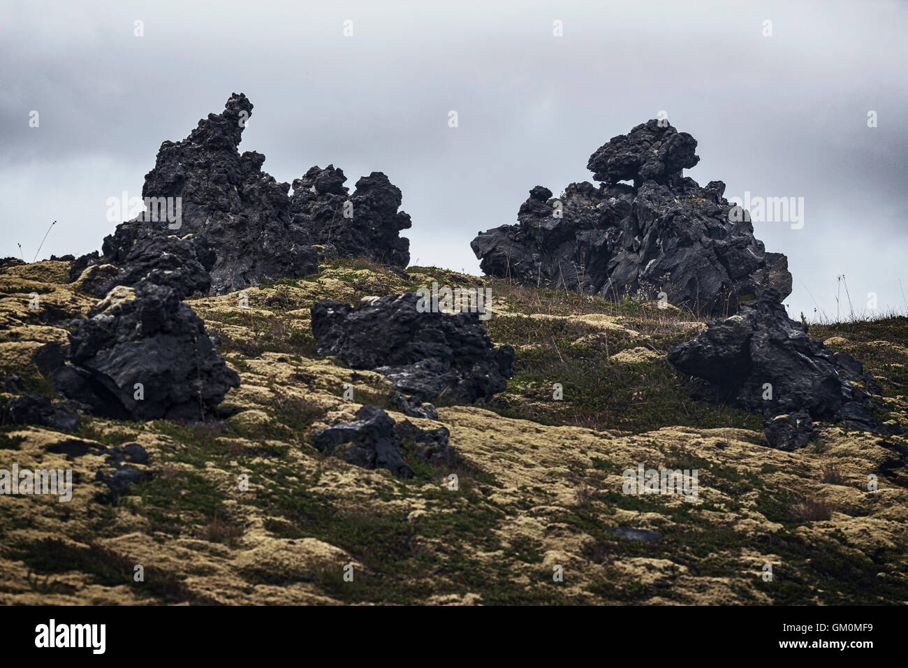 Lavafield vicino a Hellisandur, Snaefellsnes, Islanda Foto Stock