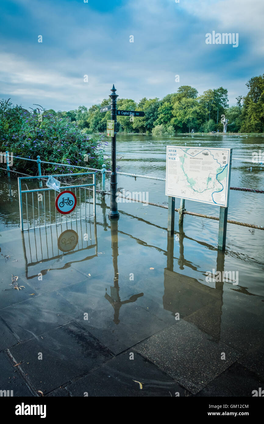 Acqua alta e inondazioni lungo il fiume Tamigi a Twickenham, London, Regno Unito Foto Stock