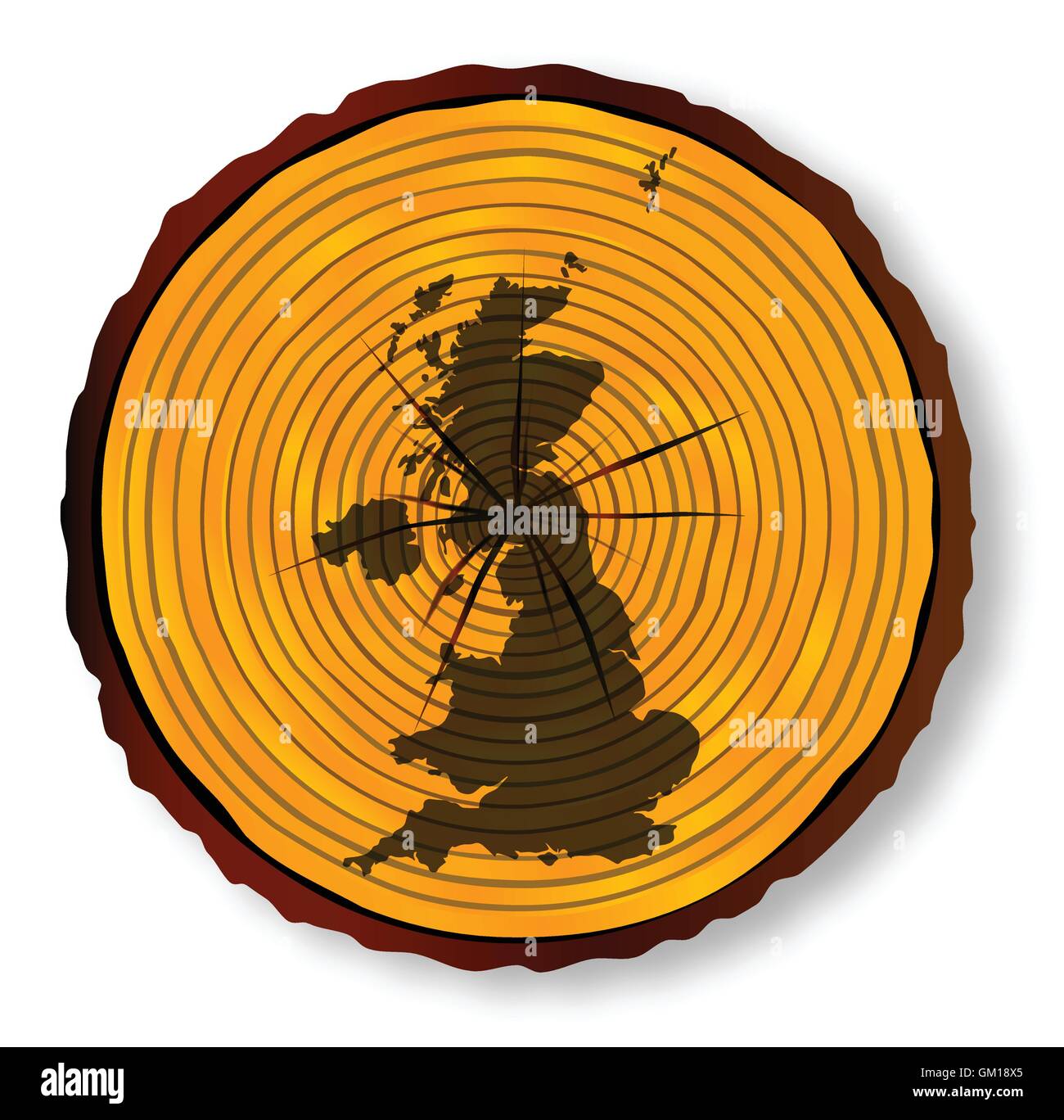 Regno Unito Mappa sulla sezione di legno Illustrazione Vettoriale