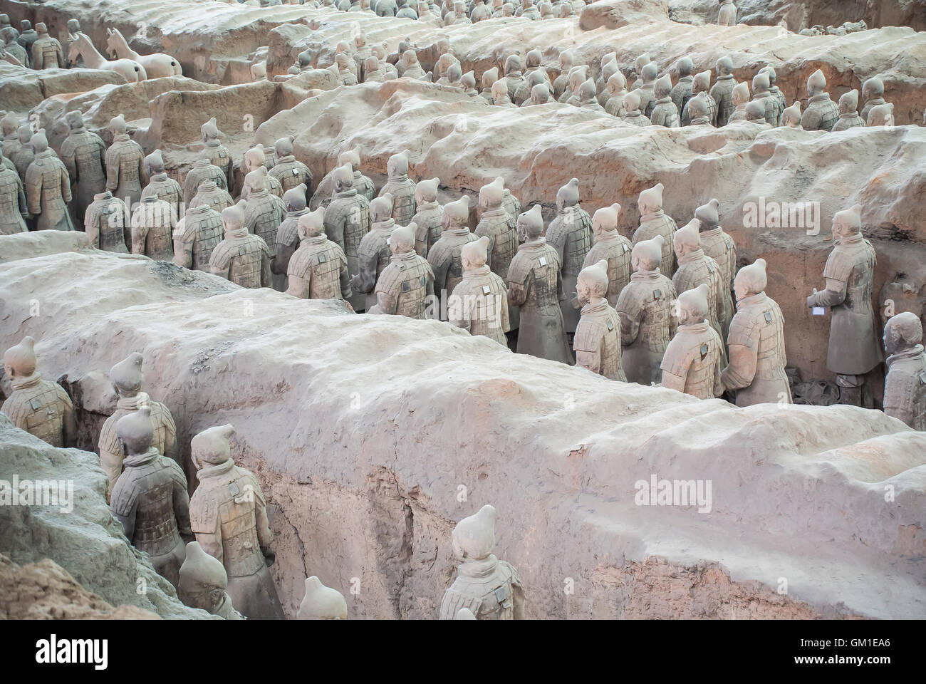 Guerrieri in terracotta, Xian, Cina Foto Stock