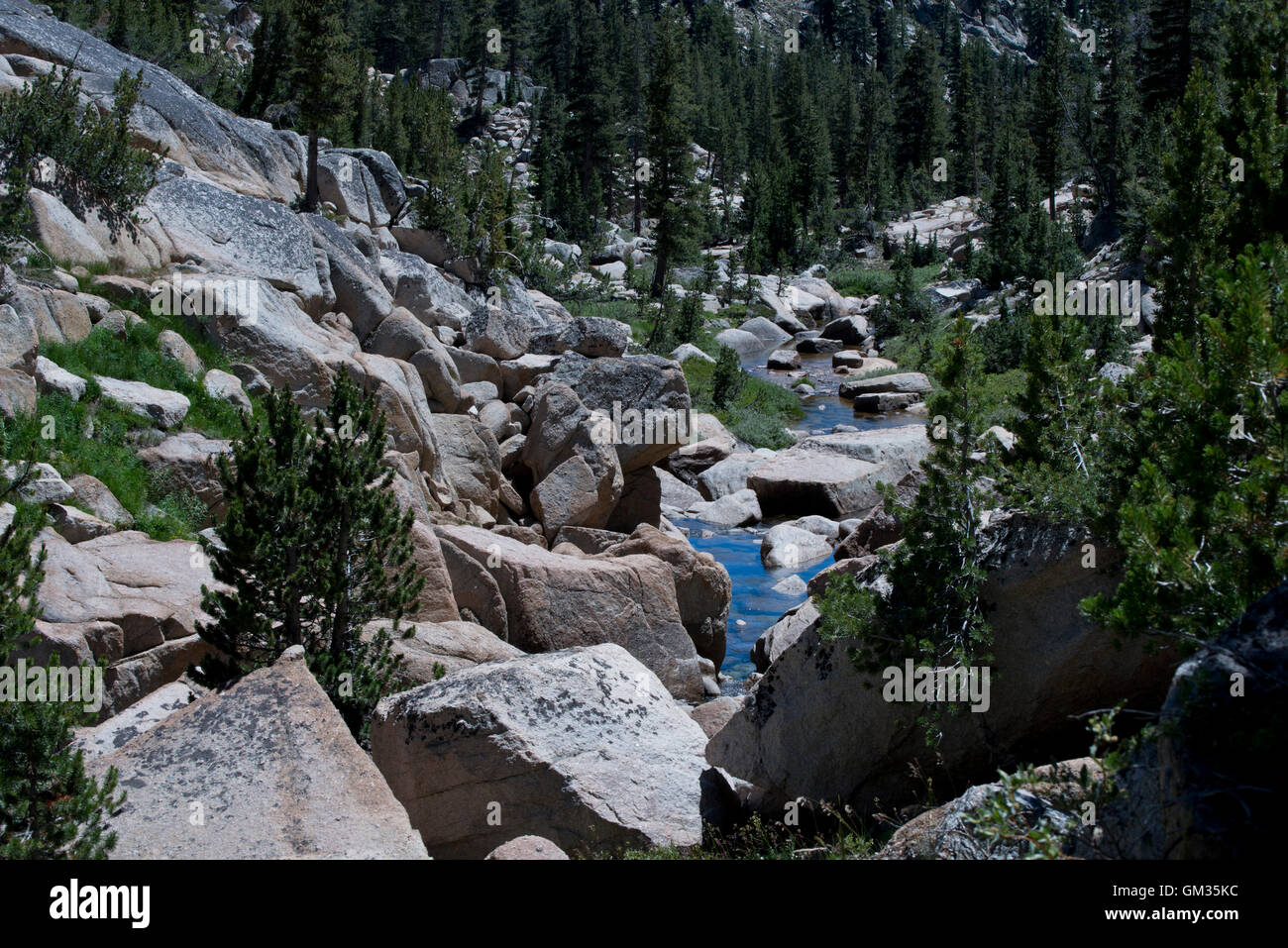 Torrente alpino sul Benson Lago loop trail. Foto Stock