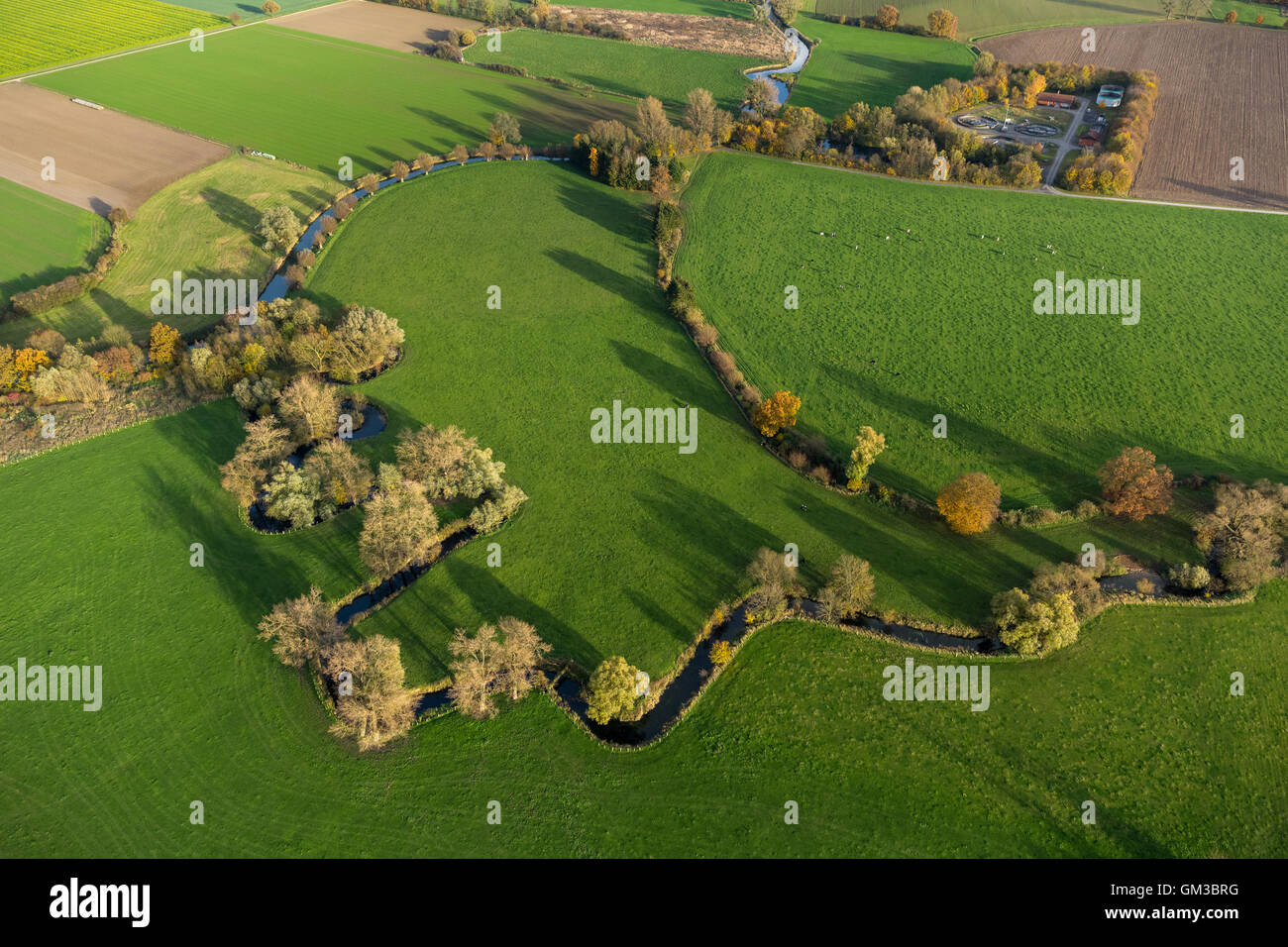 Vista aerea, stream afflusso nel Ahse, Ahse, fiume di Ahse, riserva naturale, misure di rinaturazione di Ahse, vista aerea di Hamm, Foto Stock