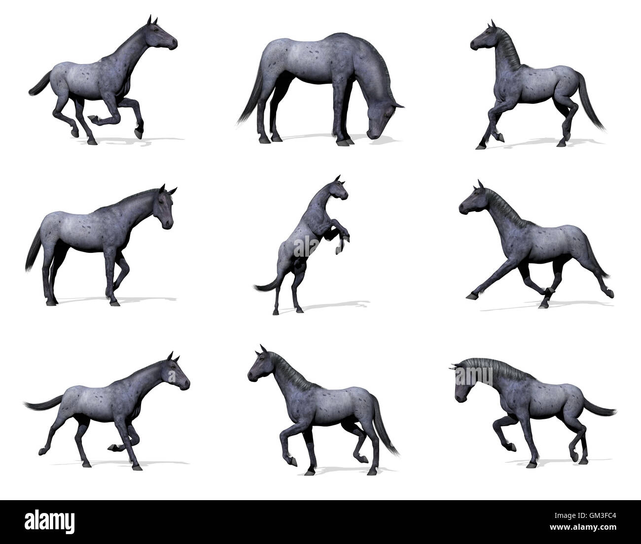 Set di blue Stefano cavalli - 3D render Foto Stock