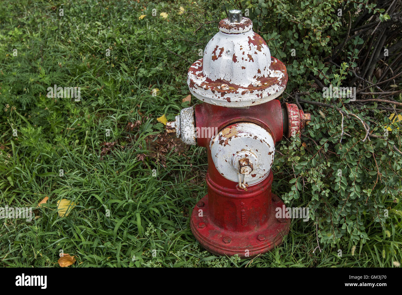 Un vecchio e arrugginito in rosso e bianco idrante di fuoco. Foto Stock