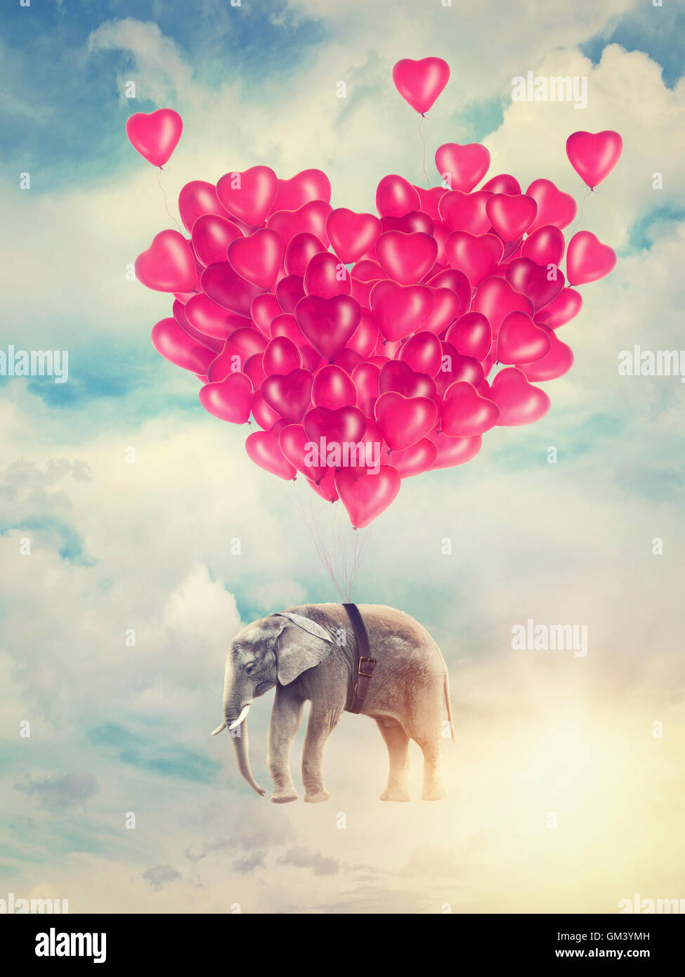 Elephant battenti con palloncini nel cielo Foto Stock