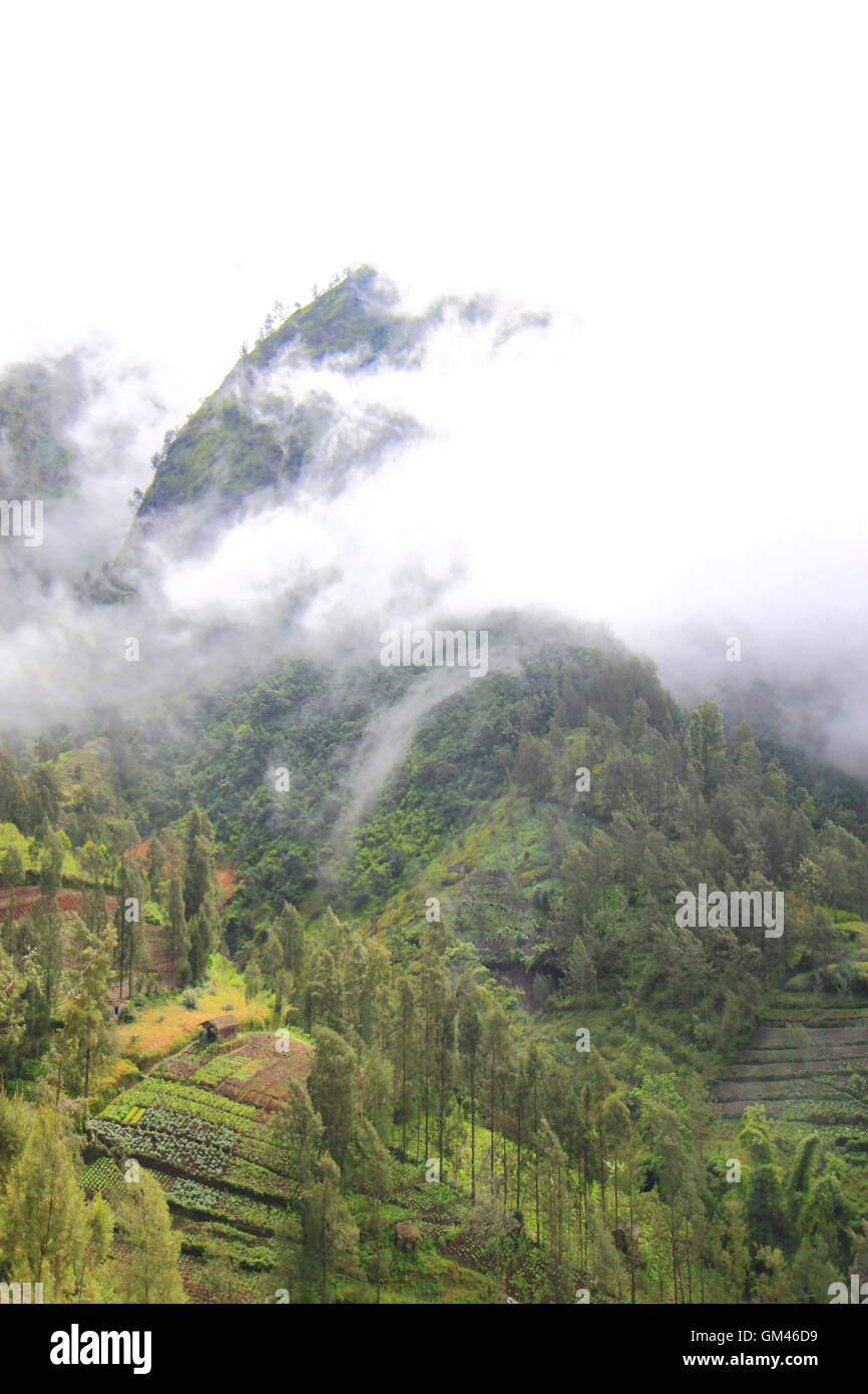 Scenario del Monte Bromo Cemoro Lawang Village Java Indonesia Foto Stock