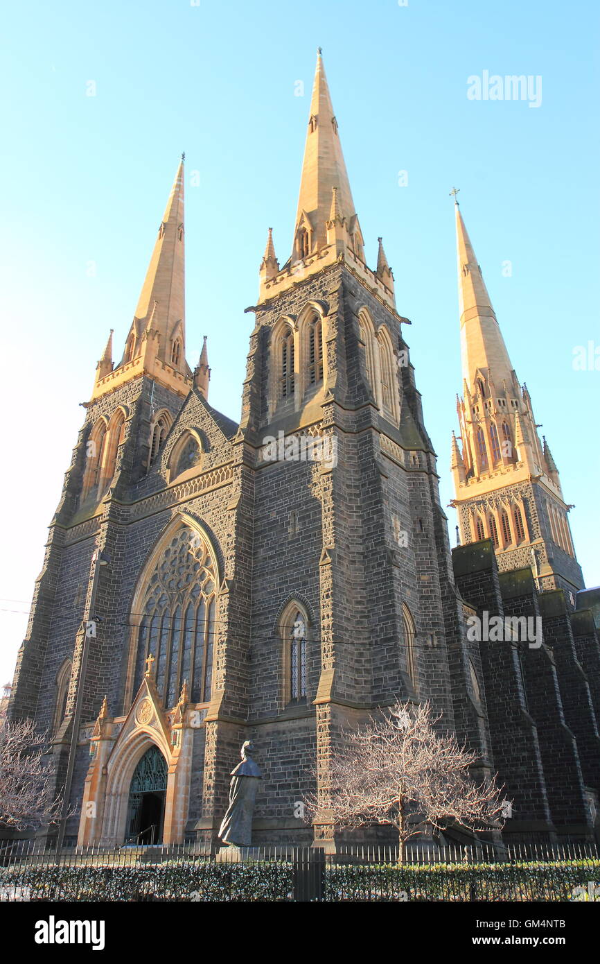 Gloria architettonica di Melbourne la Cattedrale di St Patrick Melbourne Australia Foto Stock